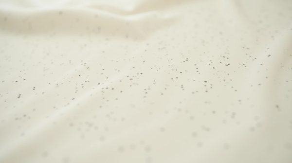 Traces de punaises de lit : comment les identifier efficacement ?